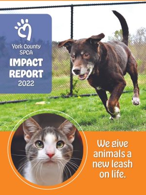 2022 Impact Report Cover r3rtp8596aiwm9cfqf4sy7ppqje9rhb7eufbcg957k