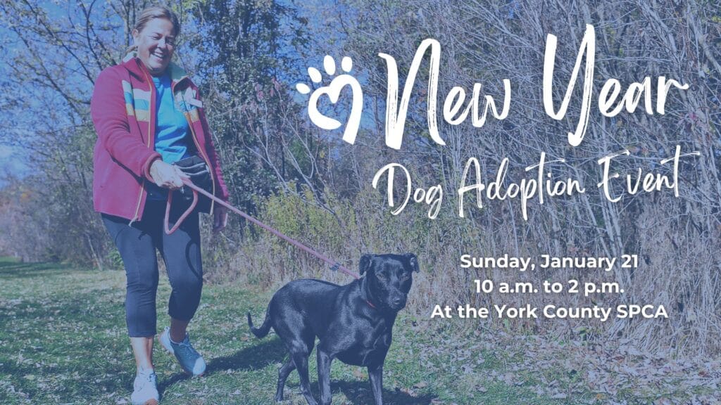 Dog adoption event announcement with details.