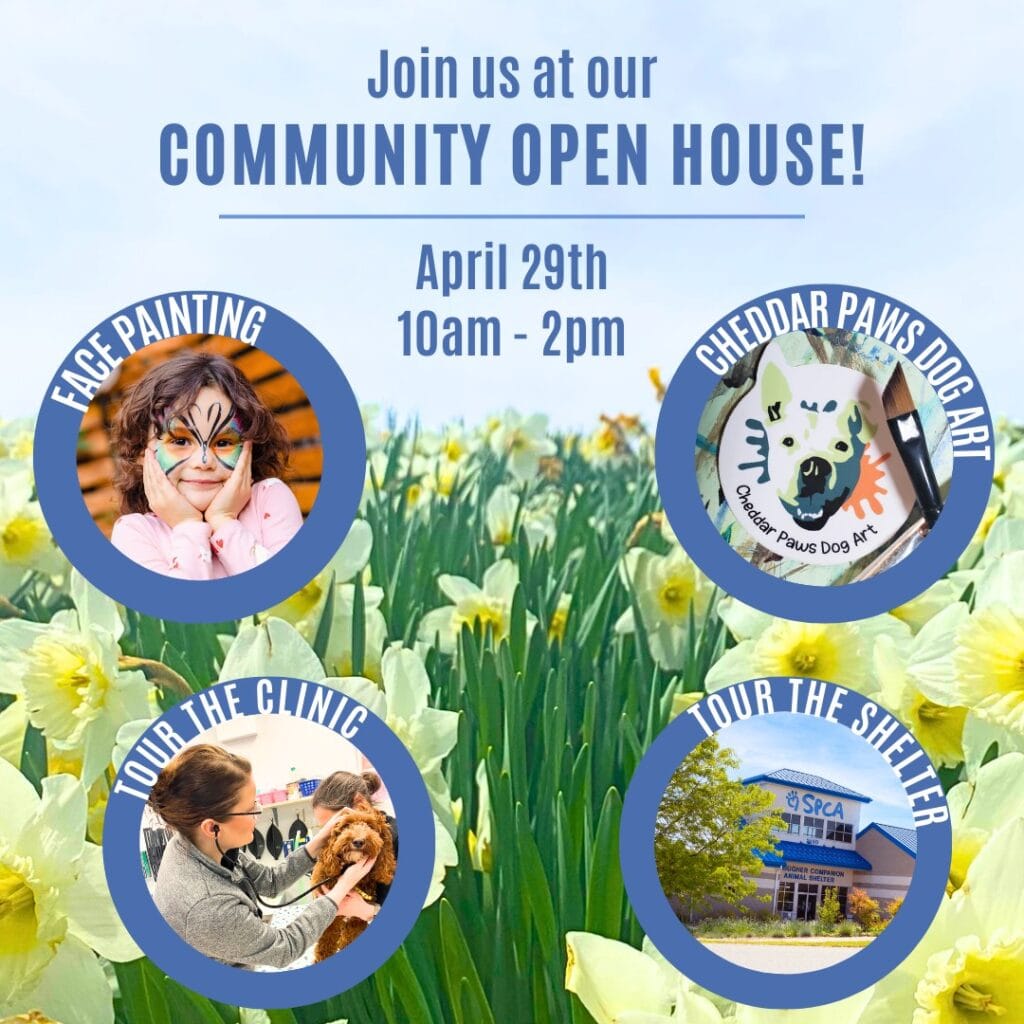 Community open house event details
