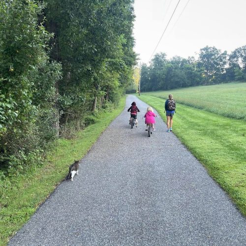 Children biking with a cat nearby