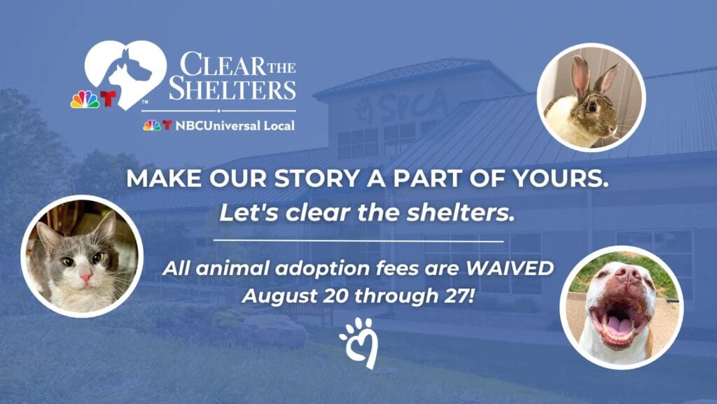 Animal adoption event announcement and details