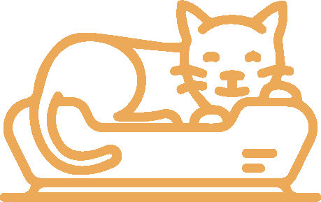 Cat sleeping on a bed