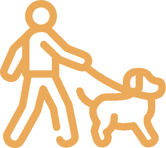 Person walking a dog