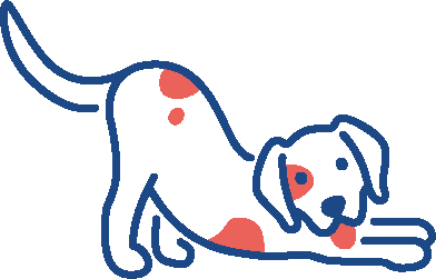 a dog stretching on a black background