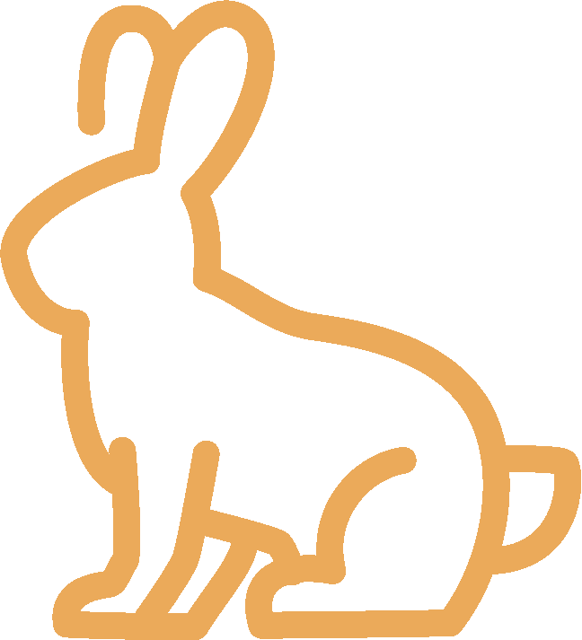 rabbit yellow