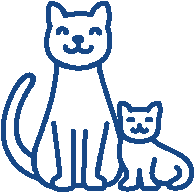Two happy cats sitting together